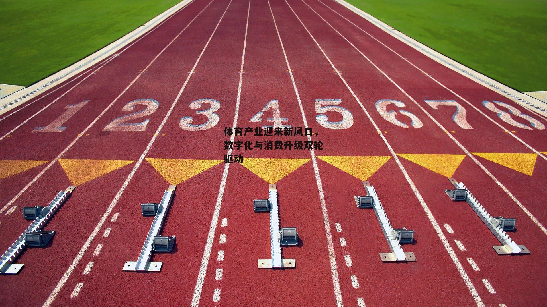 体育产业迎来新风口，数字化与消费升级双轮驱动