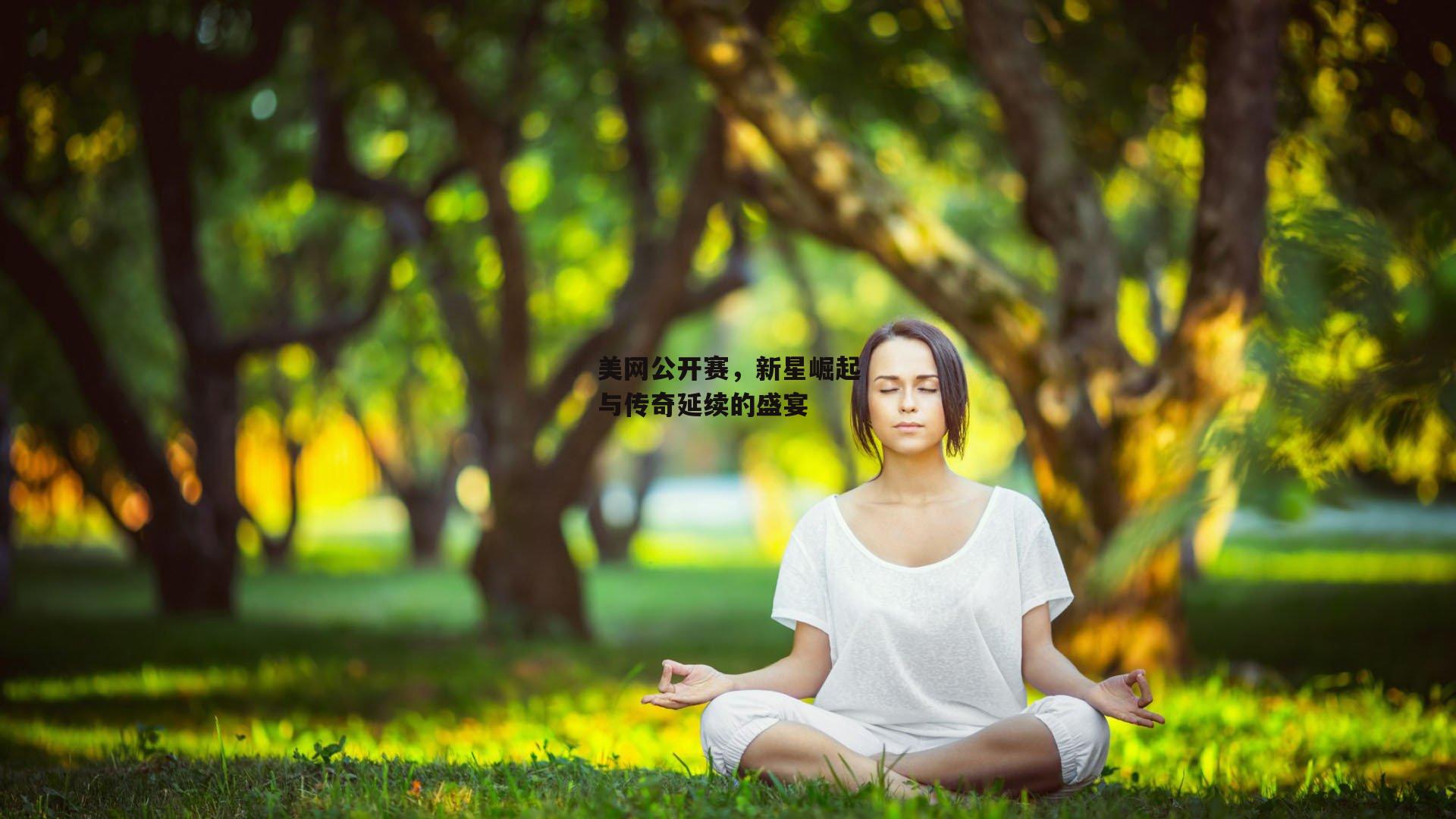 美网公开赛，新星崛起与传奇延续的盛宴